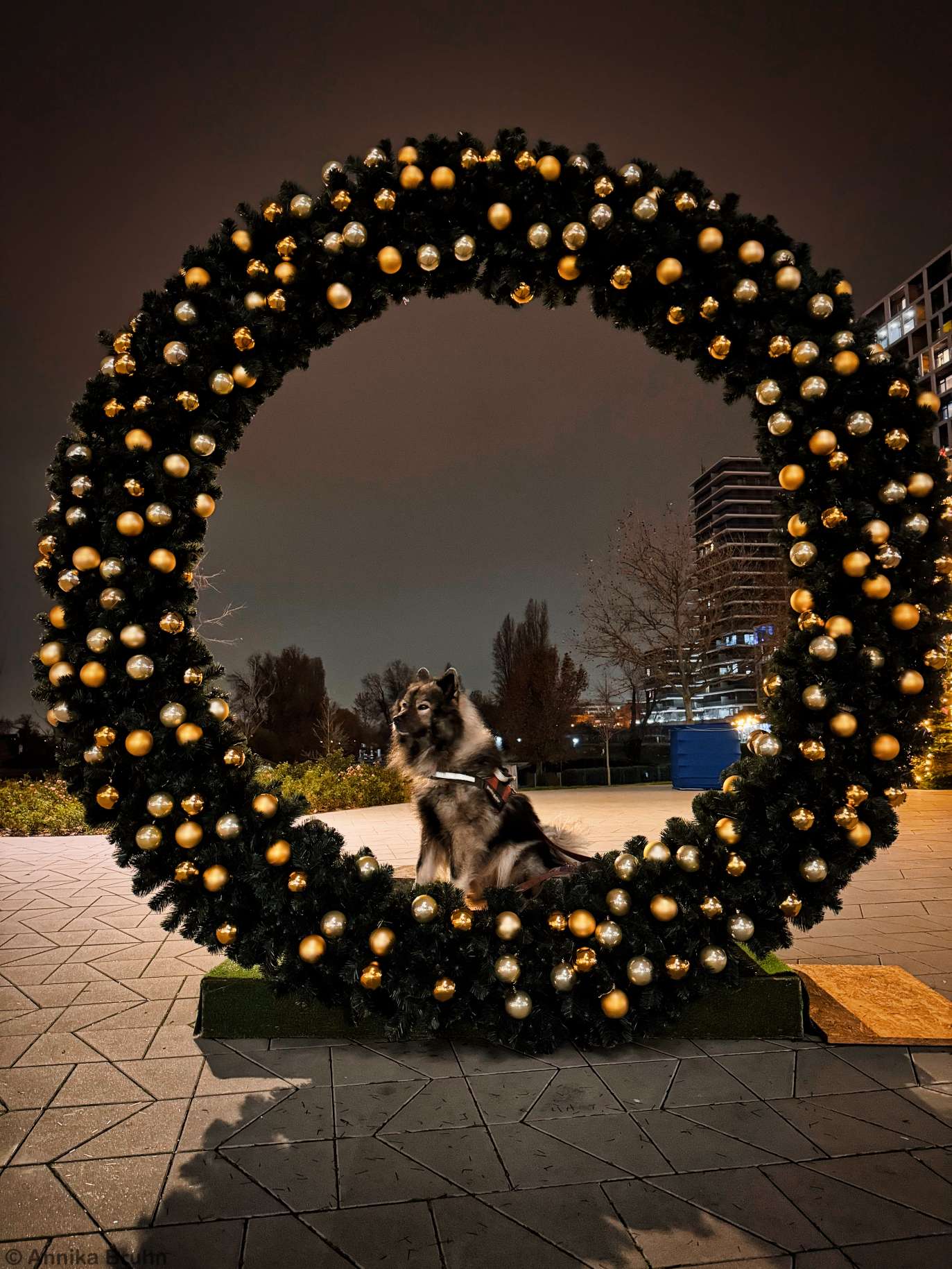 Q wünscht Frohe Weihnachten und einen guten Rutsch